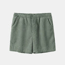 Conjunto Masculino de Veludo Camisa + Shorts